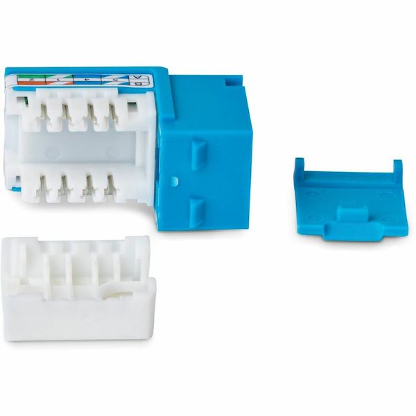 StarTech Cat6 Keystone Jack, 24-Pack RJ45 Ethernet Keystone Jacks, UTP Cat6 Wall Jack, 90-Degree 110 Punch Down, Blue