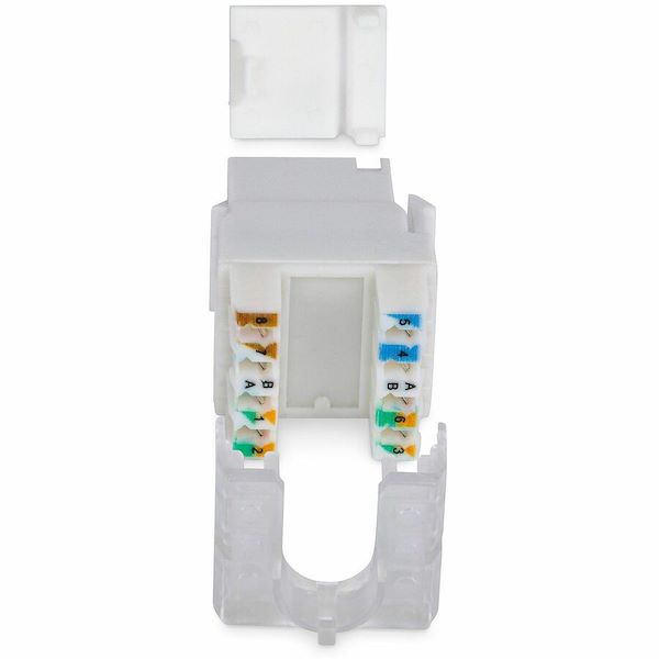 StarTech Cat6 Keystone Jack, 24-Pack RJ45 Ethernet Keystone Jacks, UTP Cat6 Wall Jack, 180-Degree 110 Punch Down, White
