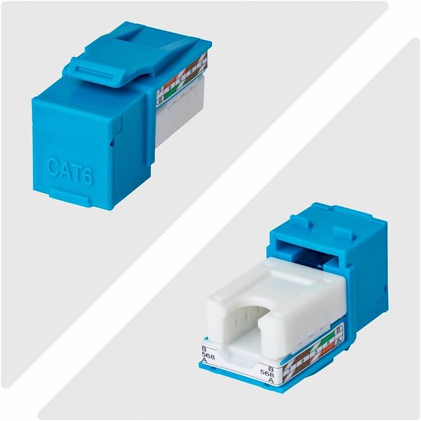 StarTech Cat6 Keystone Jack, 24-Pack RJ45 Ethernet Keystone Jacks, UTP Cat6 Wall Jack, 90-Degree 110 Punch Down, Blue