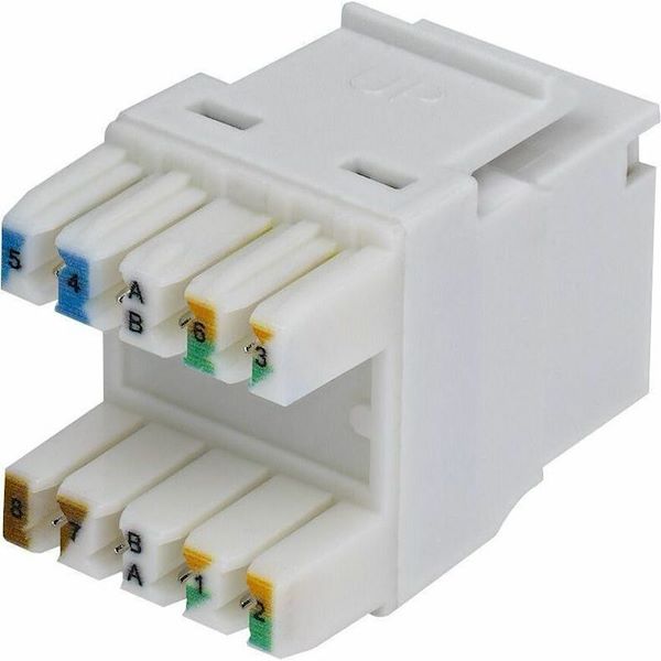 StarTech Cat6 Keystone Jack, 24-Pack RJ45 Ethernet Keystone Jacks, UTP Cat6 Wall Jack, 180-Degree 110 Punch Down, White