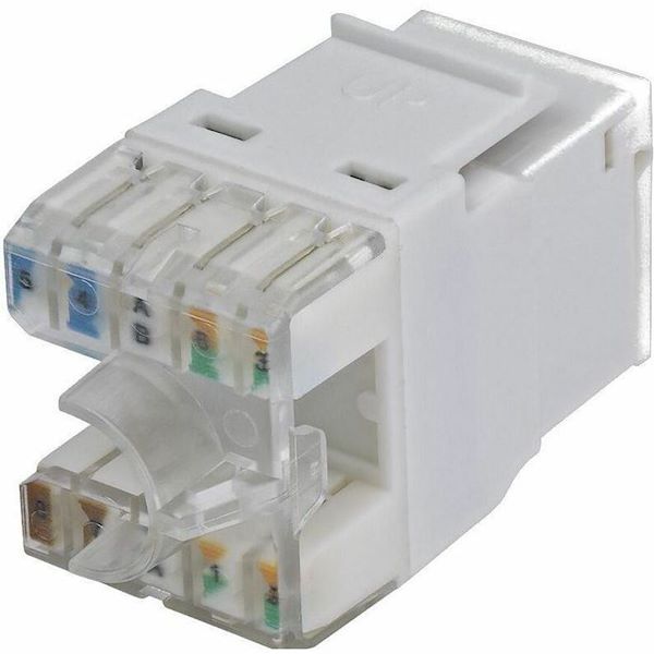 StarTech Cat6 Keystone Jack, 24-Pack RJ45 Ethernet Keystone Jacks, UTP Cat6 Wall Jack, 180-Degree 110 Punch Down, White