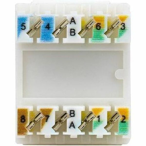 StarTech Cat6 Keystone Jack, 24-Pack RJ45 Ethernet Keystone Jacks, UTP Cat6 Wall Jack, 180-Degree 110 Punch Down, White