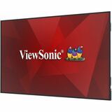 Viewsonic  CDE9831