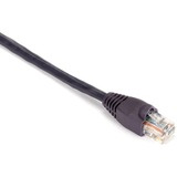 Black Box GigaBase