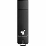 DataLocker Sentry 5 Flash Drive S5-256-FE-M